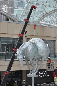 horse-1