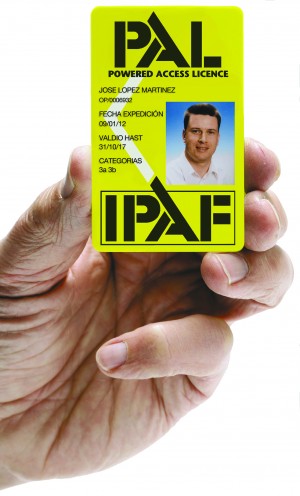 Spanish PAL Card 2013