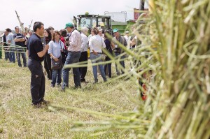 DEMOAGRO39