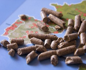 Spain_pellets_