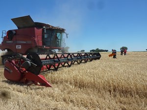 harvesting_camp_handover_2014_1-1