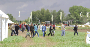 IMAGEN-DE-DEMOAGRO-2013-peq