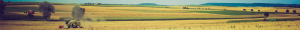 demoagro-2015-sera
