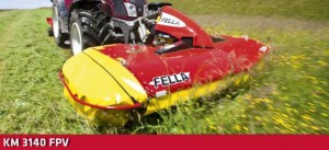 Fella