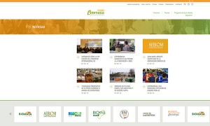 Nueva web