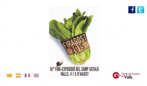 162504_1firagost