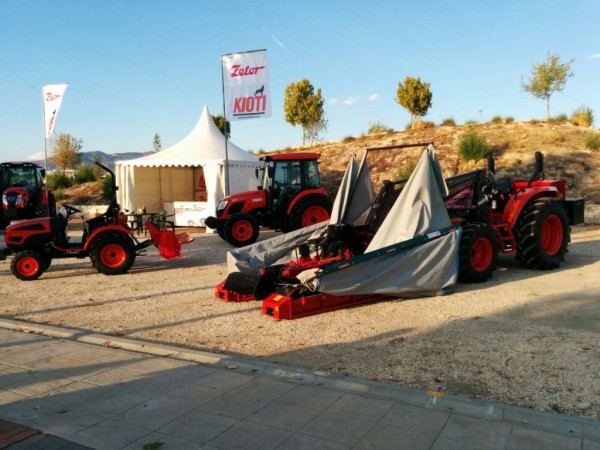 114512_1FERIAANZURCUNADO