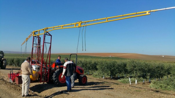 090526_2anzurdk5010accion