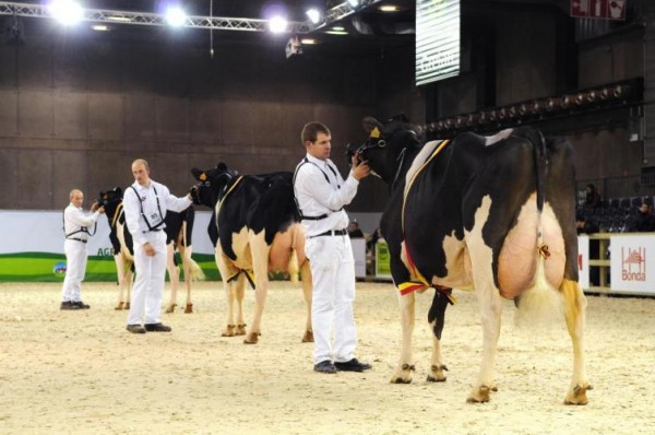 agribex_bruselas_221100es