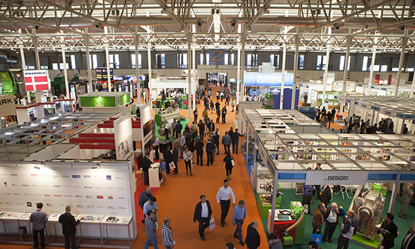 Lanzamiento Expobiomasa 2017