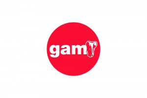 gam-11