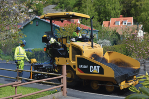 nm cat