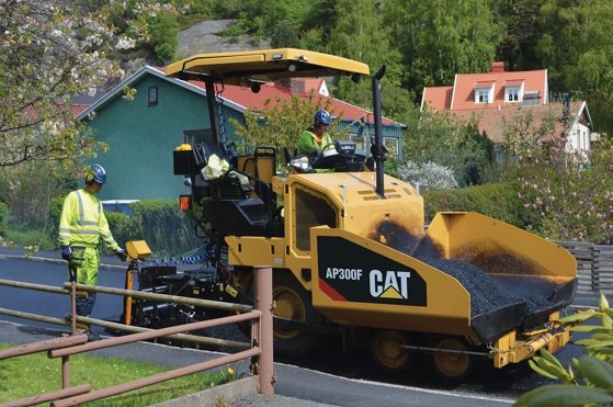 nm cat
