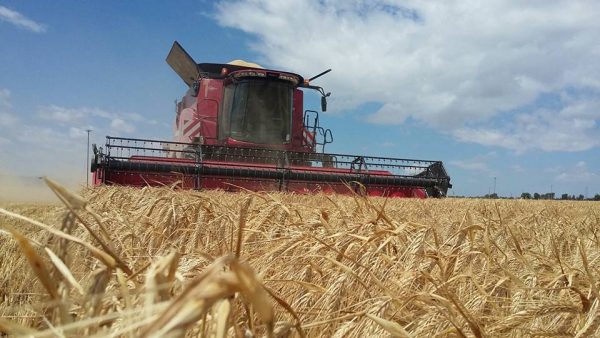 noticias-maquinaria-auxial-case-cebada