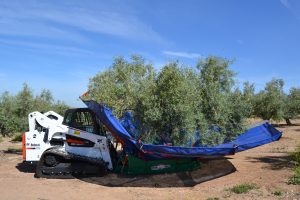 noticias-maquinaria-nbobcat-expoliva