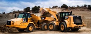 cat 3