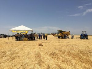 noticias_maquinaria-new-holland-tc-5-30-tunez