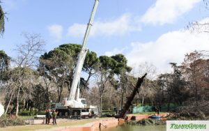 noticias-maquinaria-transgruma-ElevacionRetiro