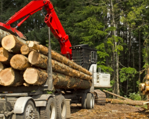noticias-maquinaria-autec-interforesta