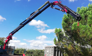 noticias-maquinaria-grúa-Fassi-Menorca