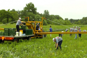 noticias-maquinaria-Case IH-impactday