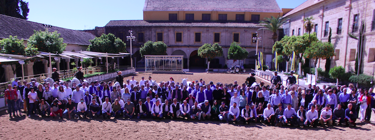 noticias-maquinaria-New Holland-concesionarios