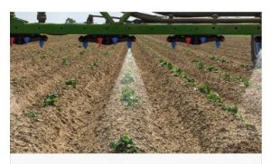noticias-maquinaria-AmaSelect de Amazone-aGRITECHNICA