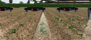 noticias-maquinaria-amazone-agritechnica