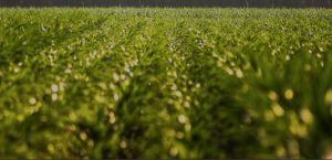 noticias-maquinaria-Ansemat-jornadas