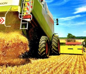 noticias-maquianria-neumaticos -continental-garantia