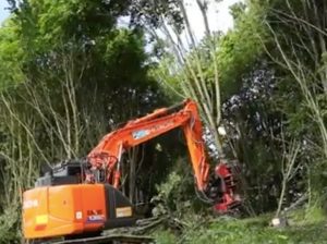 noticias-maquinaria-forestales-hitachi