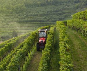 noticias-maquinaria-valtra-serieF