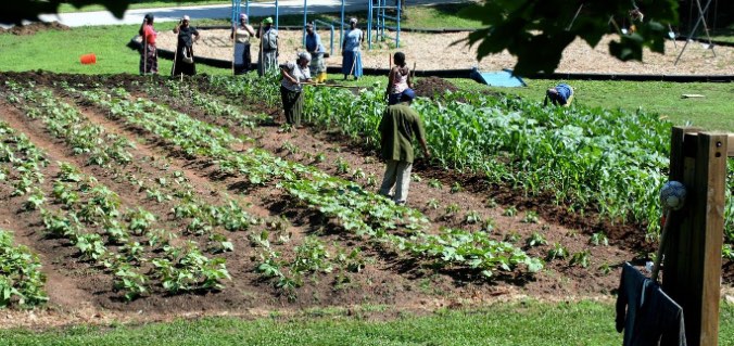 noticias-maquinaria-AGCO-Global Growers Network