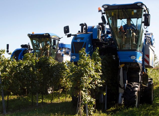 noticias-maquinaria-newholland-vendimiadoras-braud