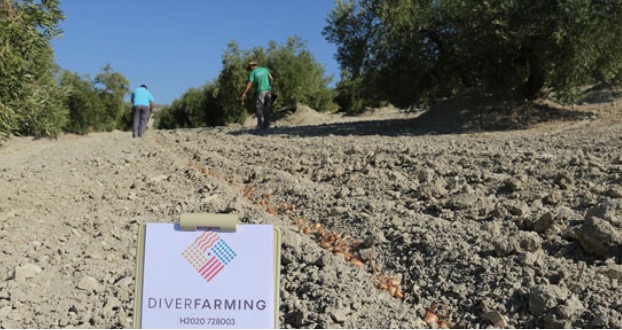 noticias-maquinaria-Diverfarming-industrias-david