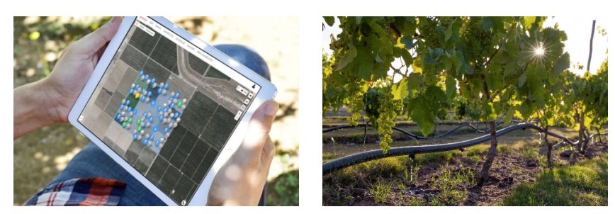 noticias-maquinaria-FarmX -kubota