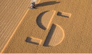noticias-maquinaria- SIMA 2022