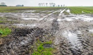noticias-maquinaria- Agriculture TireTech-Continental
