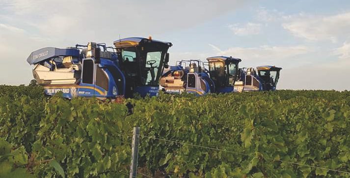 noticias-maquinaria-malla despalilladora azul -newholland