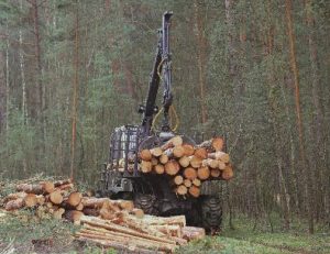 noticias-maquinaria-neumáticos-bkt-forestal