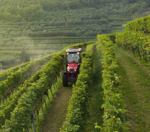 noticias-maquinaria-serieF-valtra