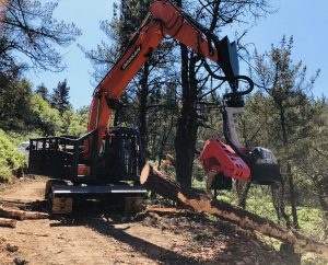 6006F2F7-78F4-4AD1-A1B9-4D14AD68F445