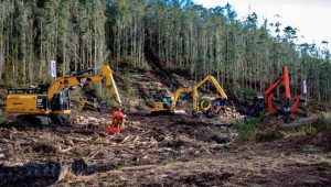 noticias maquinaria Finanzauto forestal