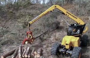 noticias maquinaria Finanzauto procesadora forestal Highlander de KONRAD