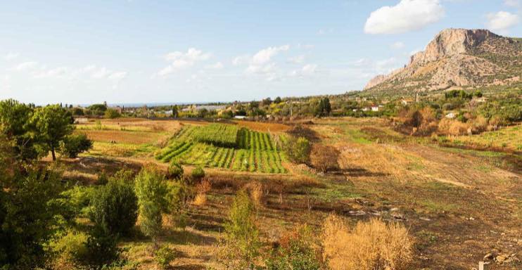 noticias maquinaria FPT Industrial y Slow Food