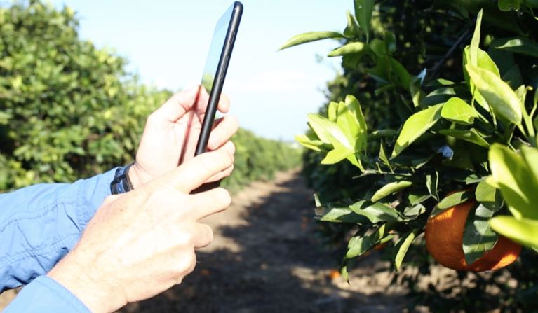 noticias maquinaria Kubota invierte en Seetree