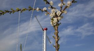 noticias maquinaria ORCHARD-RITE