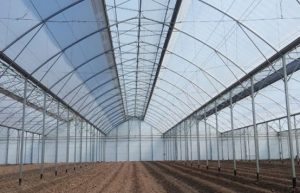 noticias maquinaria ULMA Agrícola