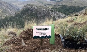 noticias maquinaria Finanzauto y el grupo TESYA
