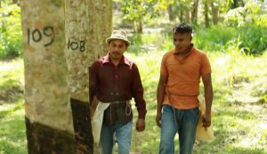 noticias maquinaria GRI productores de caucho